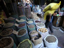 UE prohíbe importación de algunas semillas y granos a Egipto. AFP  /
