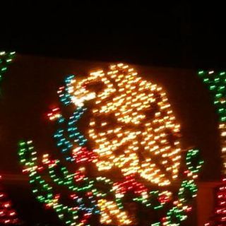 Donan un centenar de carpetas conmemorativas al Bicentenario