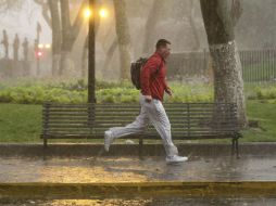 Debido a las intensas lluvias, el mosquito del dengue se reproduce con más facilidad. NTX  /