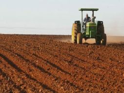 El Gobierno inició una ofensiva en el sector agropecuario que generó penalizaciones a grandes firmas multinacionales. ARCHIVO  /