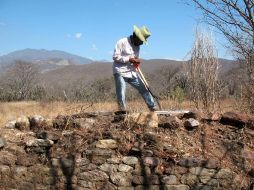 En la imagen, sitio denominado Mongotes del Panteón. EL UNIVERSAL  /