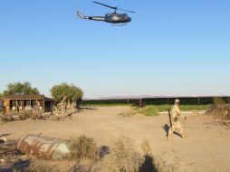 La plantación de droga estaba cubierta con malla y simulada con siembras de tomate. EFE  /