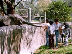 El zoológico es visitado cada año por casi 1.5 millones de personas. ARCHIVO  /