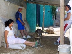 De acuerdo a datos de la Sedesol, hasta ahora se han construido 187 mil 722 pisos firmes. ARCHIVO  /