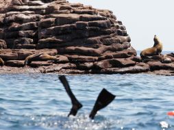 La Isla del Espiritu Santo es un excelente lugar para disfrutar del mar y el Sol. EL UNIVERSAL  /