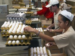 La producción en el Estado representa alrededor de 60 millones de huevos al día. M. FREYRIA  /