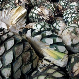 Crece la demanda internacional del tequila envasado de origen