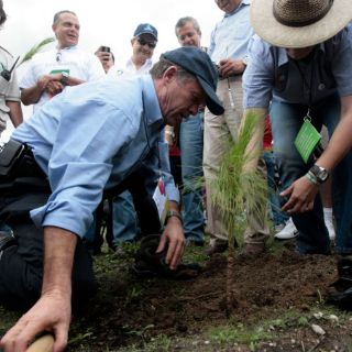 Reforestan suelos erosionados de La Primavera