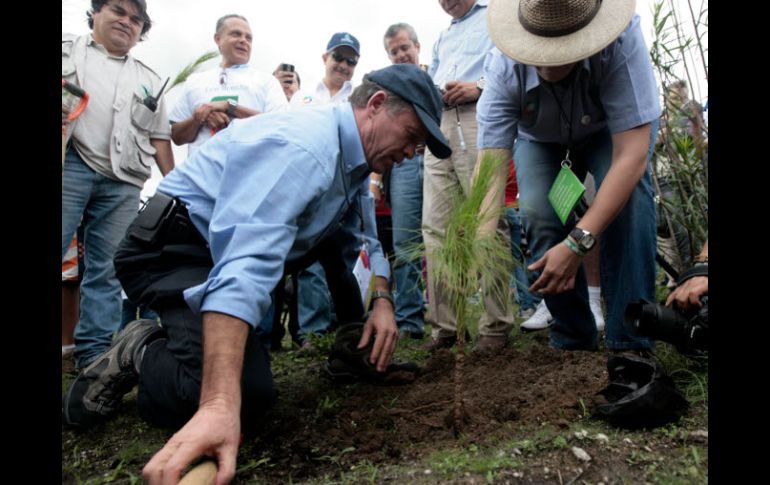 Las 80 hectáreas que se pretenden reforestar sufren actualmente erosión de suelos. A. HINOJOSA  /