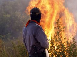Los incendios se combatem desde el sábado. EFE  /