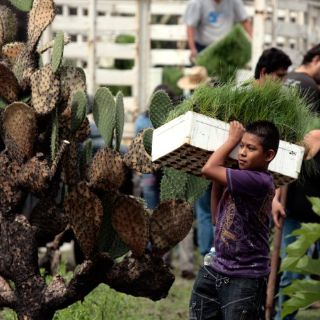 Alertan por deslaves en el Cerro del Colli