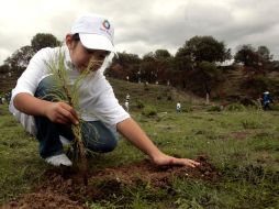 Trabajadores de la Conafor y de la Conagua se reunieron en el Bosque de la Primavera a sembrar árboles. A. HINOJOSA  /