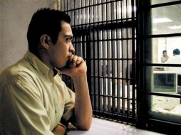 El material está en la categoría de las postulaciones de los Emmy para Noticias y Documentales. EL UNIVERSAL  /