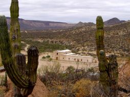 La especialista precisó que además se realizaron trabajos de limpieza en este sitio arqueológico. EL UNIVERSAL  /