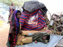 En algunas zonas de Somalia, seis personas mueren a diario y más de la mitad de los niños sufren de desnutrición aguda. REUTERS  /
