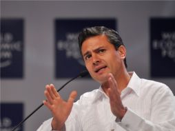 El PRI se dice blindado en grupos de apoyo a figuras como Peña Nieto. ARCHIVO  /