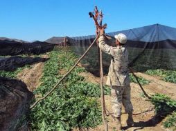 Desestiman la discusión al respecto propuesta por algunos ex mandatarios latinoamericanos. NOTIMEX  /