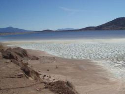 Desarrolló de tecnología para convertir los jales mineros en materiales para la construcción. ESPECIAL  /