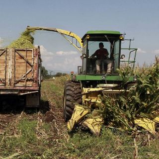 Avanza el reparto de subsidio federal al agro