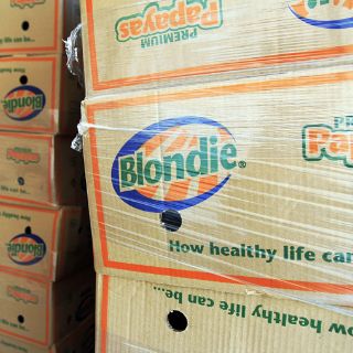 Breves de la cartera