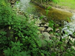 Aseguraron que si el Mediterráneo está contaminado, está contaminado para todos, cristianos, musulmanes y judíos. EFE  /
