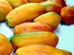 El experto expone que una de las vías de “contagio” de la papaya sería el riego aéreo con agua contaminada. ESPECIAL  /