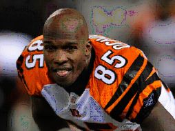 El polémico receptor Chad Ochocinco tendrá que disciplinarse en Nueva Inglaterra. AP  /