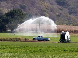 Dentro de los apoyos a la agroindustria figura el riego tecnificado en el campo jalisciense. ARCHIVO  /