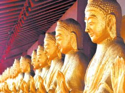 Caminando en Tierra Pura. EL UNIVERSAL  /