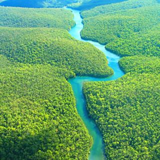 Deforestación consume amazonía brasileña