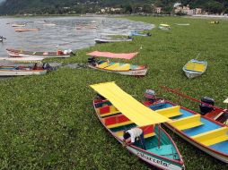 El 5 de octubre de 2010 el Lago de Chapala llegó a la cota 96.62, su punto más alto. ARCHIVO  /