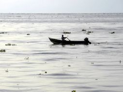 En el pasado estiaje, el Lago de Chapala disminuyó 1.42 metros. S. NÚÑEZ  /