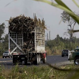 Veracruz tendrá un ingenio de etanol, anuncian