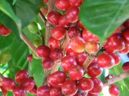 La empresa Metco se encarga del proyecto. AGENCIA ID  /