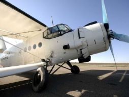 Se trata del segundo contrabando de marihuana que se detecta a bordo de aviones ultraligeros en la última semana. ARCHIVO  /