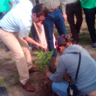 Realizan reforestación en Las Juntitas