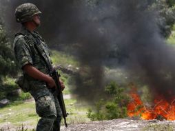Personal del ejército quema un plantío del enervante. NTX  /