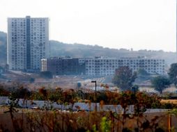 Los alimentos que se sirvan en la Villa Panamericana estarán libres de cualquier sustancia prohibida, también el clenbuterol.A.HINOJOSA  /