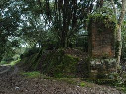 Vista del cafetal de La Orduña. ESPECIAL  /