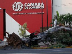 La tormenta del sábado afectó diversas zonas de la metrópoli, con inundaciones, apagones y árboles caídos.S. NÚÑEZ.  /