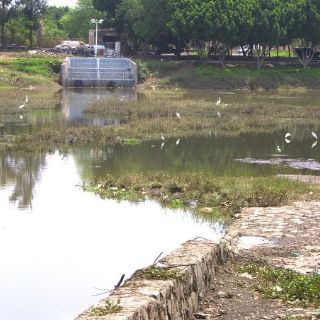 Prevén inversión de 34 MDP para rehabilitar El Dean