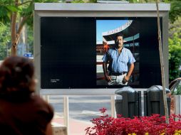 La exposición está colocada en el camellón de Avenida Chapultepec. E. BARRERA  /