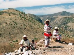 El terreno recuperado es una de las zonas de la comunidad con mayor biodiversidad y riqueza paisajística. ARCHIVO  /