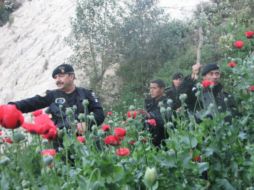 Agencias extranjeras informaron de los operativos de personal de la CIA y DEA en territorio mexicano. ARCHIVO  /