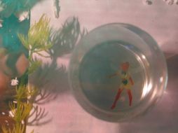 La supuesta hada está conservada dentro de un vaso con agua. M PATIÑO  /