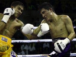 Foto de acción del tapatío Juan José 'Goofy' Montes (D), quien portará los guantes por una nueva oportunidad para el título. MEXSPORT  /