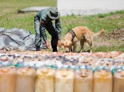 Exhortan a la comunidad internacional a llegar a acuerdos en cuanto a una estrategia antidrogas. EFE  /