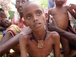 Estados Unidos destinará 17 millones de dólares más a combatir la emergencia humanitaria en el Cuerno de África. AFP  /