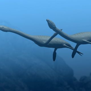 Los plesiosauros daban a luz, no ponían huevos