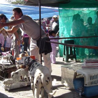 Prevén revocar permisos para 45 locales de 'El Baratillo'